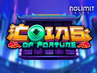 Coins Of Fortune